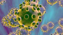 A mund ta largojë koronavirusin e ri pastrimi me avull?