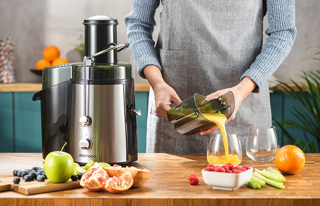 Delimano Powerful Juicer
